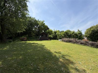 Picture 24
